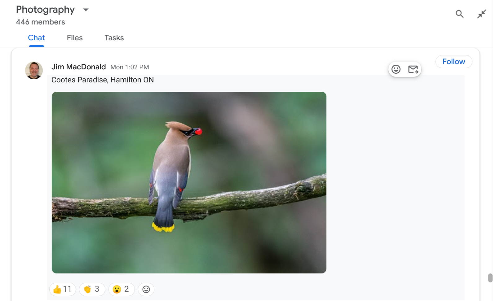 screenshot of photography google chat in Geotab internal chats